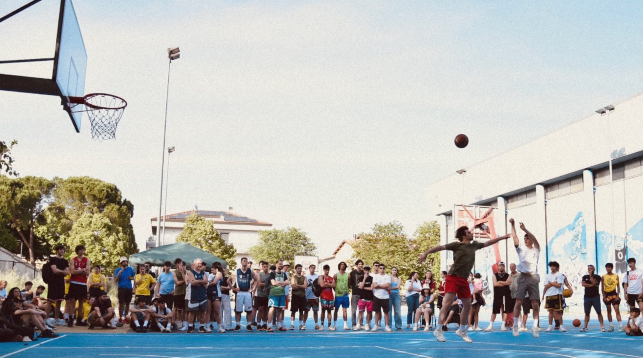 King of the Court