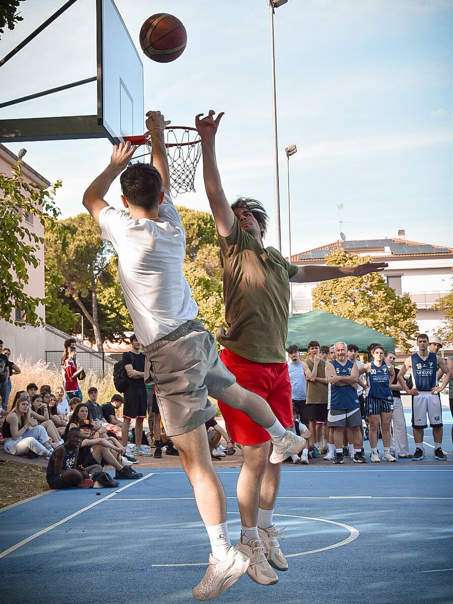 King of the Court
